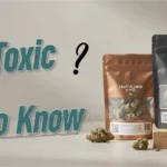 Are Mylar Bags Toxic? Everything You Need to Know
